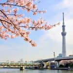 京都から社員旅行で１泊２日東京方面プラン紹介