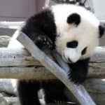 南紀和歌山1泊2日京都から社員旅行プラン