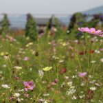 京都から社員旅行で日帰り近場の京の奥座敷亀岡コース