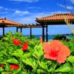 京都から社員旅行で2泊3日沖縄