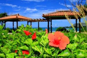 京都から社員旅行で2泊3日沖縄