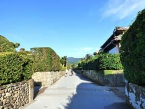 京都から社員旅行で2泊3日九州の旅