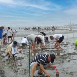 京都から日帰り社員旅行御殿場浜で潮干狩りとバーベキュー