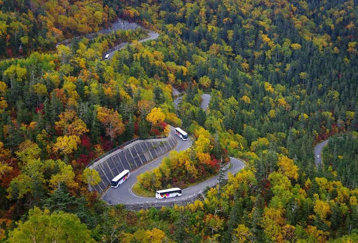 京都から出発☆秋の日帰り社員旅行は貸切バスで決まり!