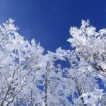 京都からオフシーズンの冬に行く！社員旅行のススメ