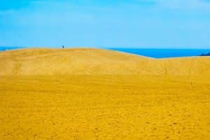 山陰方面1泊2日京都から社員旅行プラン