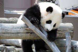 南紀和歌山1泊2日京都から社員旅行プラン