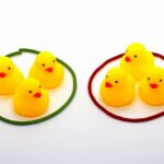 京都から社員皆で社員旅行へ！でもアクティビティはやりたいことを選びたい！「選択制アクティビティ（2班別行動）」のススメ