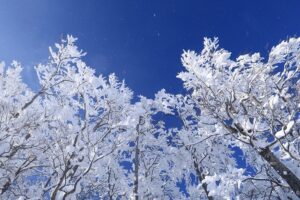 京都からオフシーズンの冬に行く！社員旅行のススメ